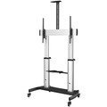 Startech.Com Mobile Tv Stand STNDMTV100